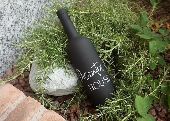 Decanter House - Wine Alto Piemonte * Borgomanero